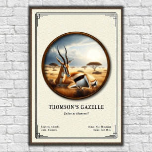 Affiche Série de zoologie de la gazelle de Thomson