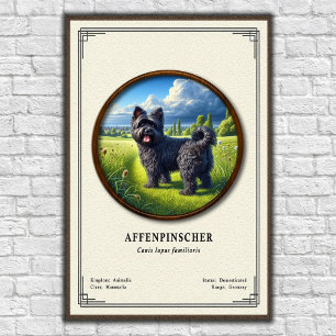 Affiche Série de zoologie de l'Affenpinscher