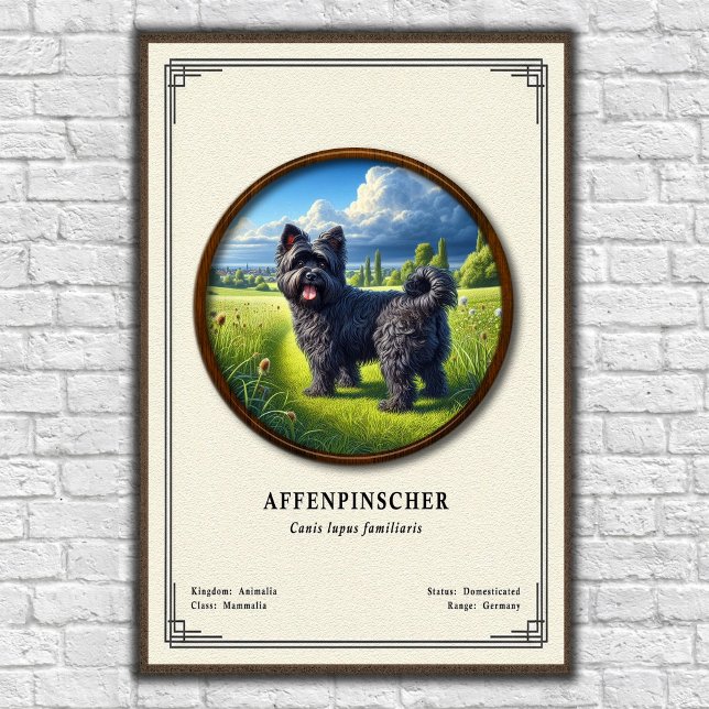 Affiche Série de zoologie de l'Affenpinscher (Créateur téléchargé)
