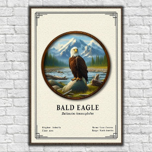 Affiche Série de zoologie de l'aigle à tête blanche