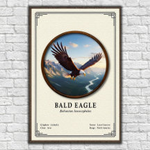 Série de zoologie de l'aigle royal