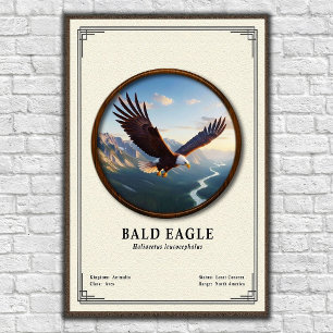 Affiche Série de zoologie de l'aigle royal