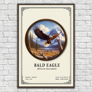 Affiche Série de zoologie de l'aigle royal