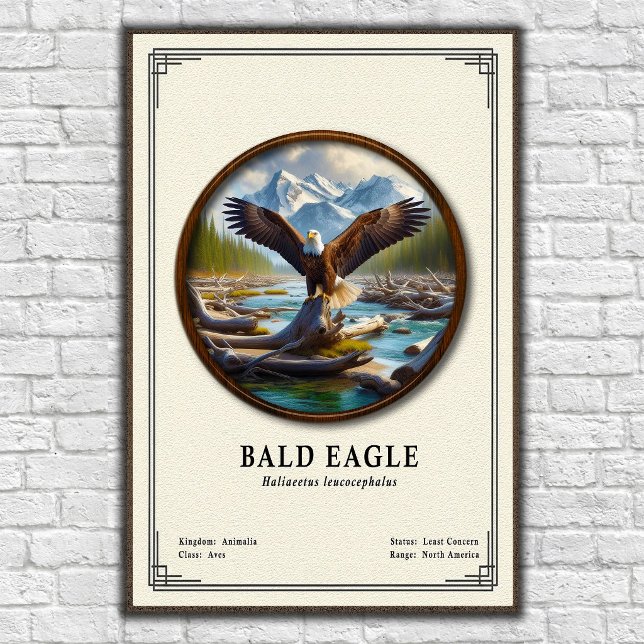 Affiche Série de zoologie de l'aigle royal (Créateur téléchargé)