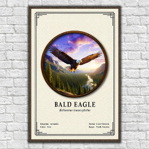 Affiche Série de zoologie de l'aigle royal
