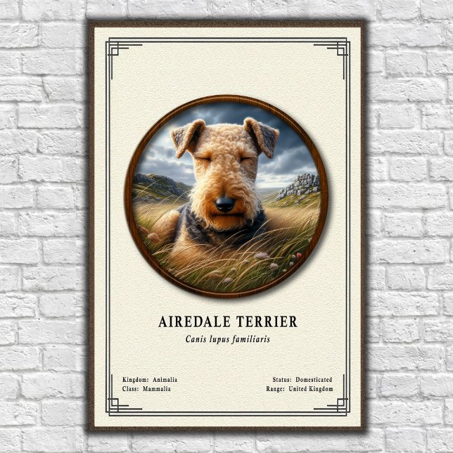 Affiche Série de zoologie de l'Airedale Terrier (Créateur téléchargé)