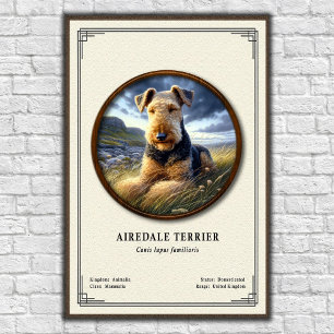 Affiche Série de zoologie de l'Airedale Terrier