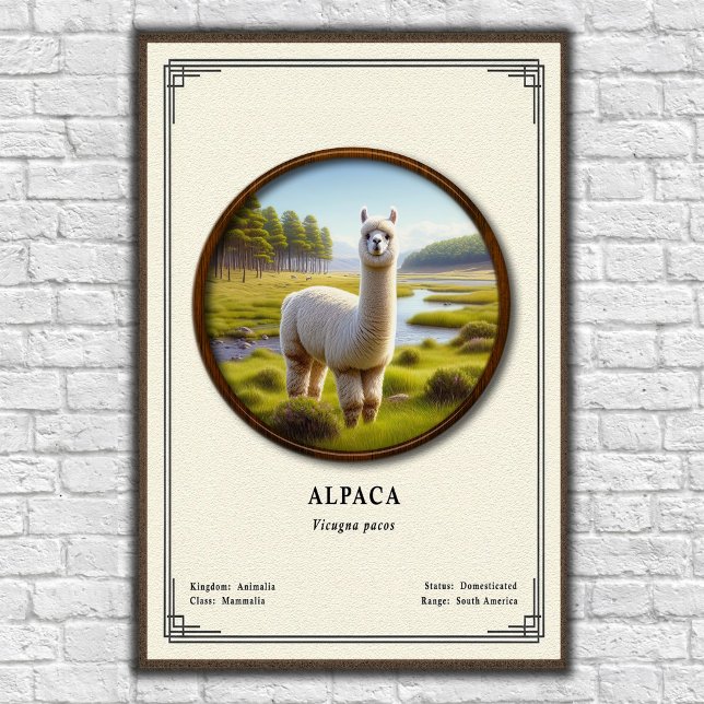 Affiche Série de zoologie de l'alpaca (Créateur téléchargé)
