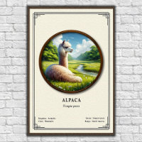 Série de zoologie de l'alpaca