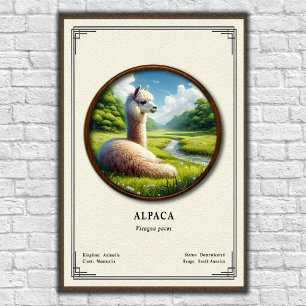 Affiche Série de zoologie de l'alpaca