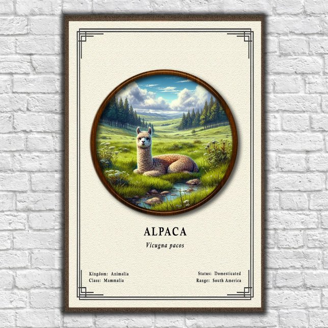 Affiche Série de zoologie de l'alpaca (Créateur téléchargé)
