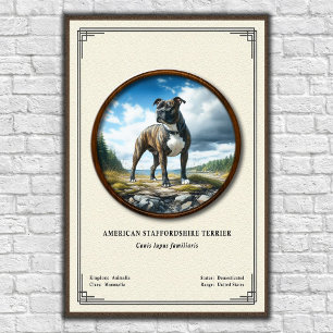 Affiche Série de zoologie de l'American Staffordshire Terr