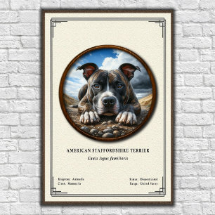 Affiche Série de zoologie de l'American Staffordshire Terr