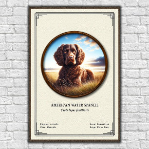Affiche Série de zoologie de l'American Water Spaniel