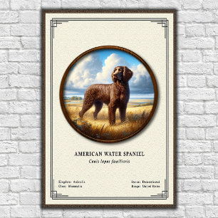 Affiche Série de zoologie de l'American Water Spaniel