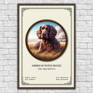Affiche Série de zoologie de l'American Water Spaniel