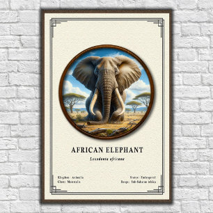 Affiche Série de zoologie de l'éléphant d'Afrique