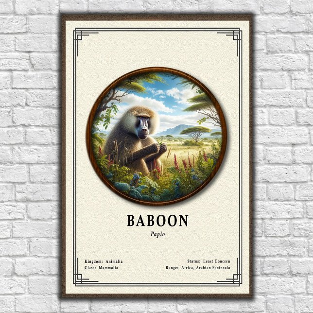 Affiche Série de zoologie des babouins (Créateur téléchargé)