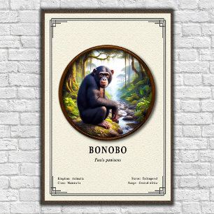 Affiche Série de zoologie des bonobos