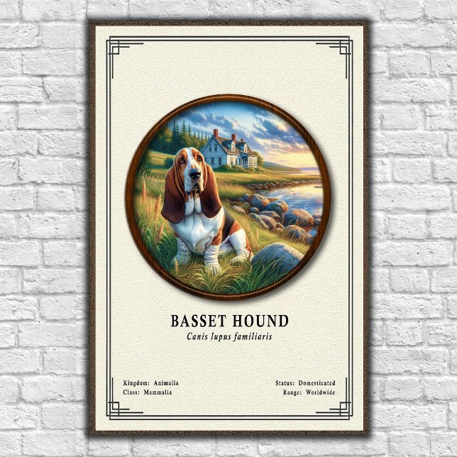 Affiche Série de zoologie du Basset Hound (Créateur téléchargé)