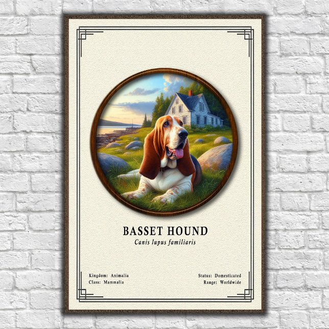 Affiche Série de zoologie du Basset Hound (Créateur téléchargé)