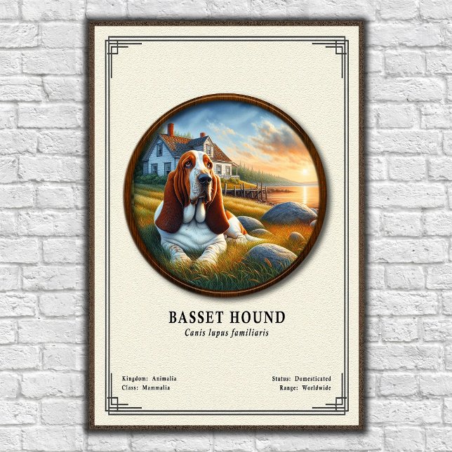 Affiche Série de zoologie du Basset Hound (Créateur téléchargé)