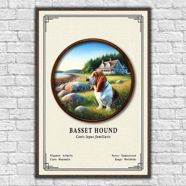Affiche Série de zoologie du Basset Hound (Créateur téléchargé)