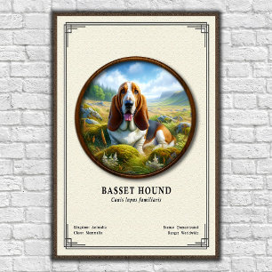 Affiche Série de zoologie du Basset Hound