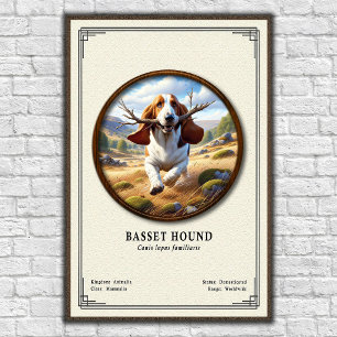 Affiche Série de zoologie du Basset Hound