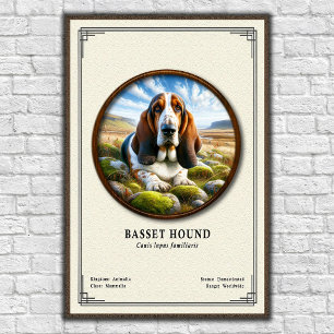 Affiche Série de zoologie du Basset Hound