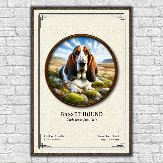 Affiche Série de zoologie du Basset Hound (Créateur téléchargé)