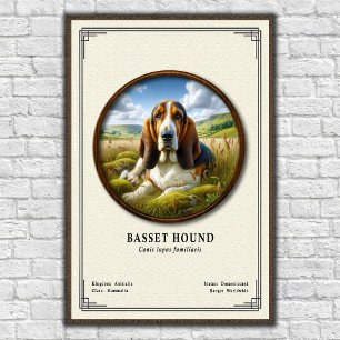 Affiche Série de zoologie du Basset Hound
