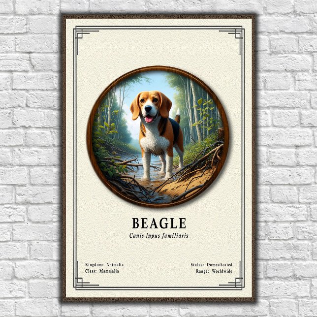 Affiche Série de zoologie du Beagle (Créateur téléchargé)