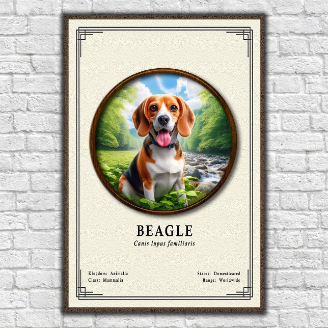 Affiche Série de zoologie du Beagle (Créateur téléchargé)