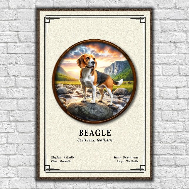 Affiche Série de zoologie du Beagle (Créateur téléchargé)