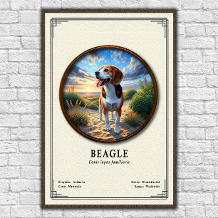 Affiche Série de zoologie du Beagle