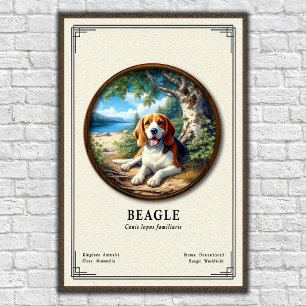 Affiche Série de zoologie du Beagle