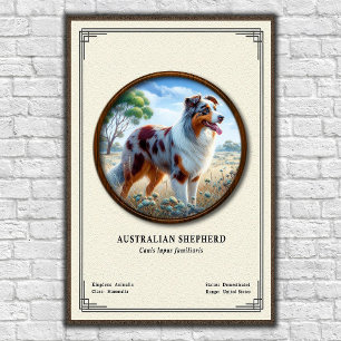 Affiche Série de zoologie du Berger Australien
