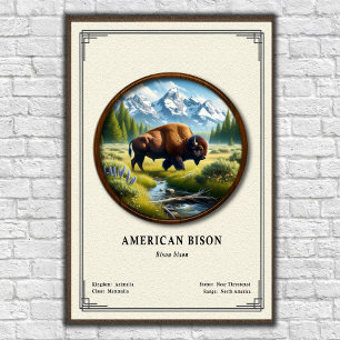 Affiche Série de zoologie du bison d'Amérique