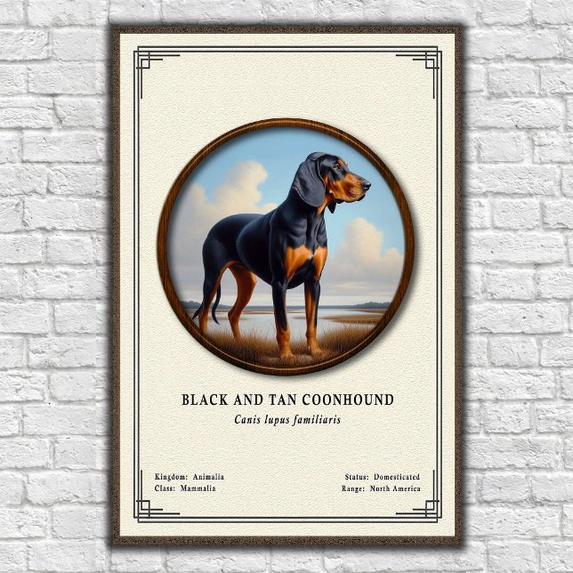 Affiche Série de zoologie du Black and Tan Coonhound (Créateur téléchargé)