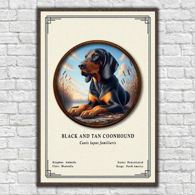 Affiche Série de zoologie du Black and Tan Coonhound (Créateur téléchargé)
