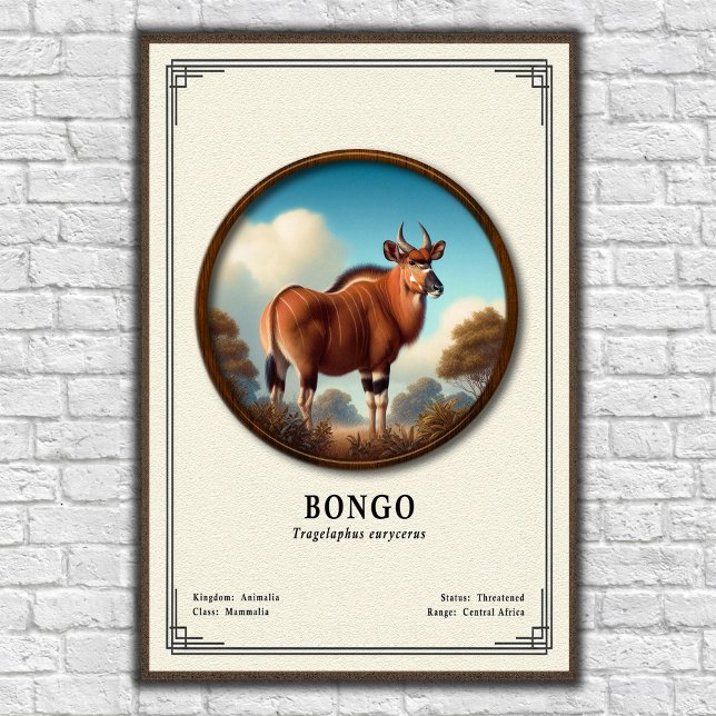Affiche Série de zoologie du Bongo (Créateur téléchargé)