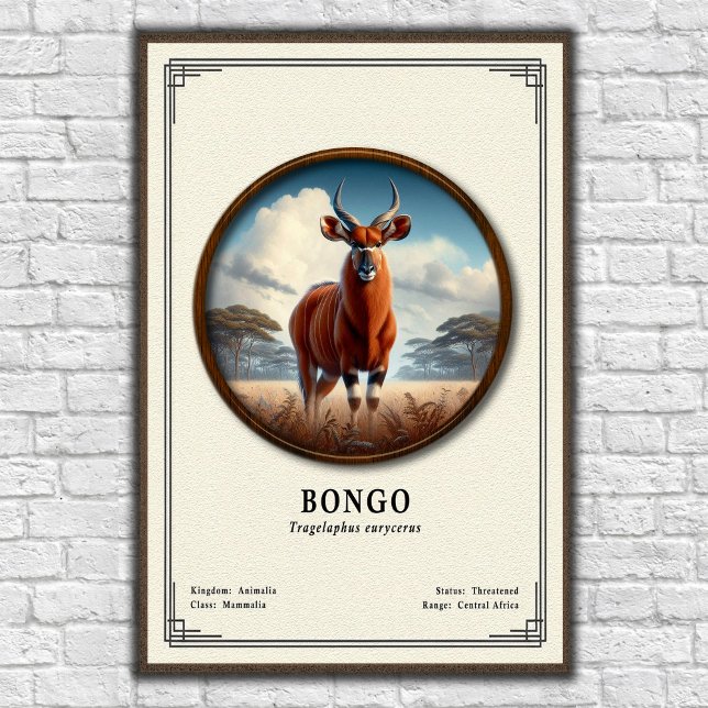 Affiche Série de zoologie du Bongo (Créateur téléchargé)