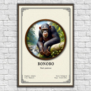 Affiche Série de zoologie du Bonobo