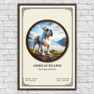 Affiche Série de zoologie du bouledogue américain