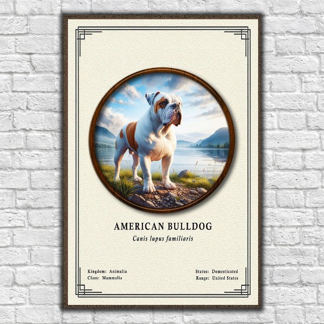 Affiche Série de zoologie du bouledogue américain (Créateur téléchargé)