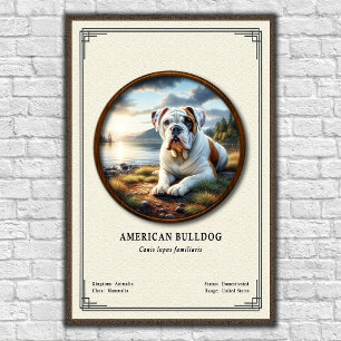 Affiche Série de zoologie du bouledogue américain