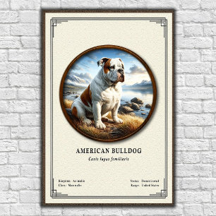 Affiche Série de zoologie du bouledogue américain