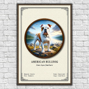 Affiche Série de zoologie du Bulldog américain