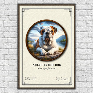 Affiche Série de zoologie du Bulldog américain